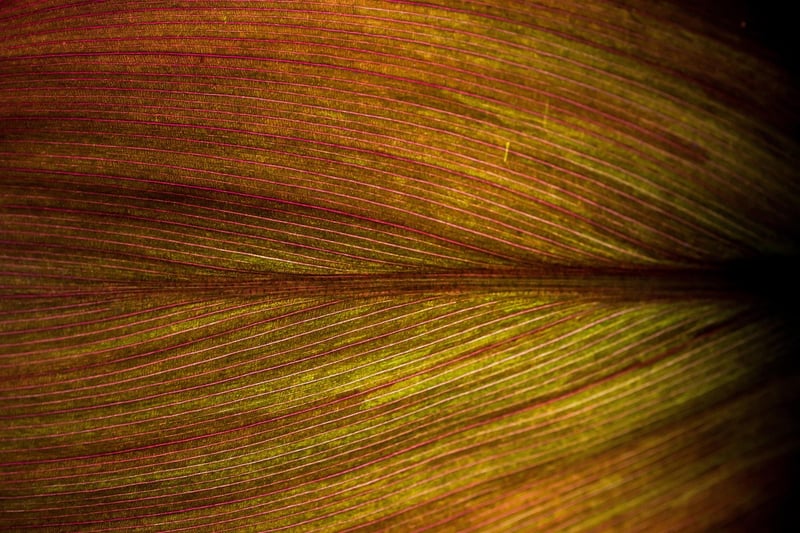 Galactic Biology Studies